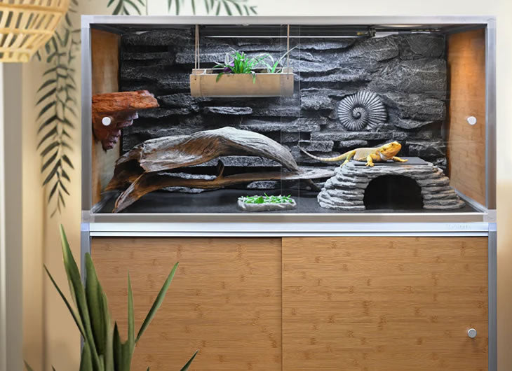 Zen Habitats Enclosures