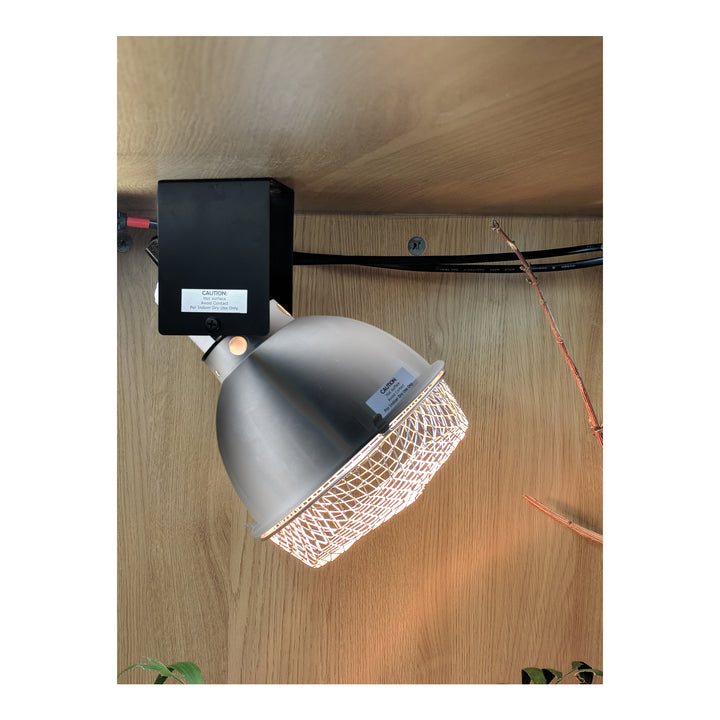 Bird Systems Ceramic Rotating Holder in use inside of a vivarium