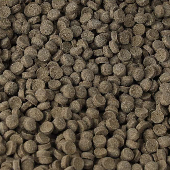 FishScience Large Carnivore Sinking Pellets loose