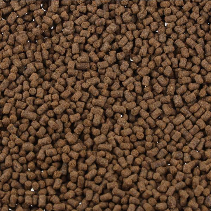FishScience Axolotl Pellets loose