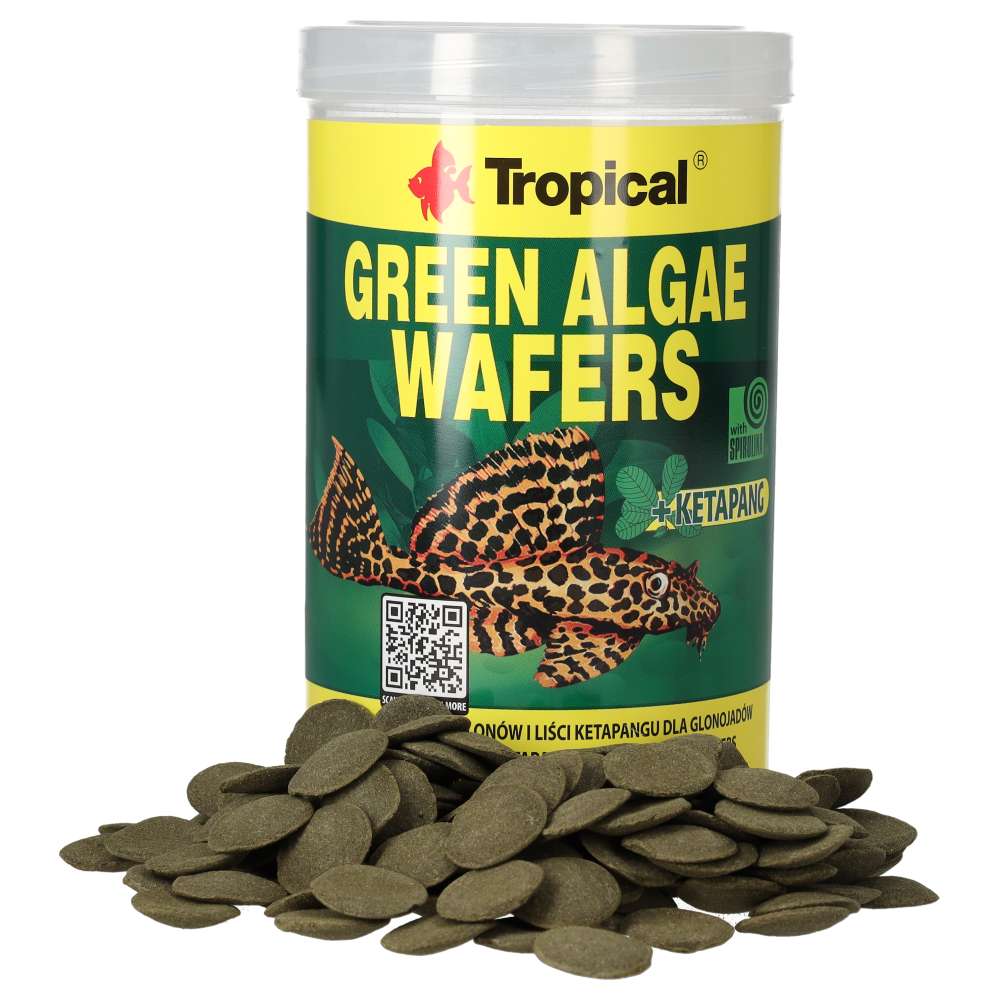 Tropical Green Algae Wafers opened