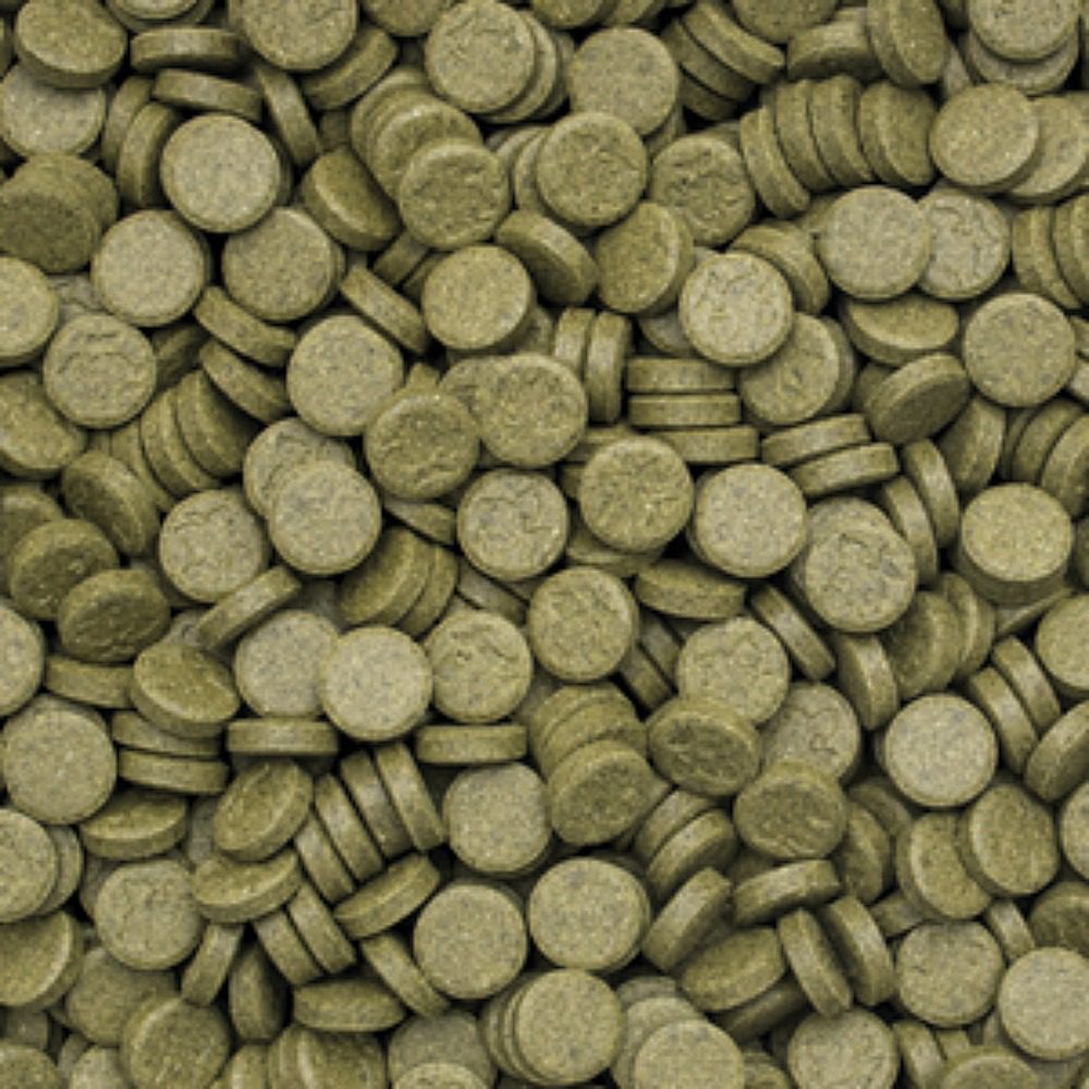 Tropical 3-Algae Tablets 
