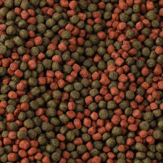 Tropical Cichlid Omnivore Small Pellet loose