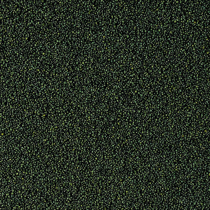 Tropical Super Spirulina Forte Mini Granulat