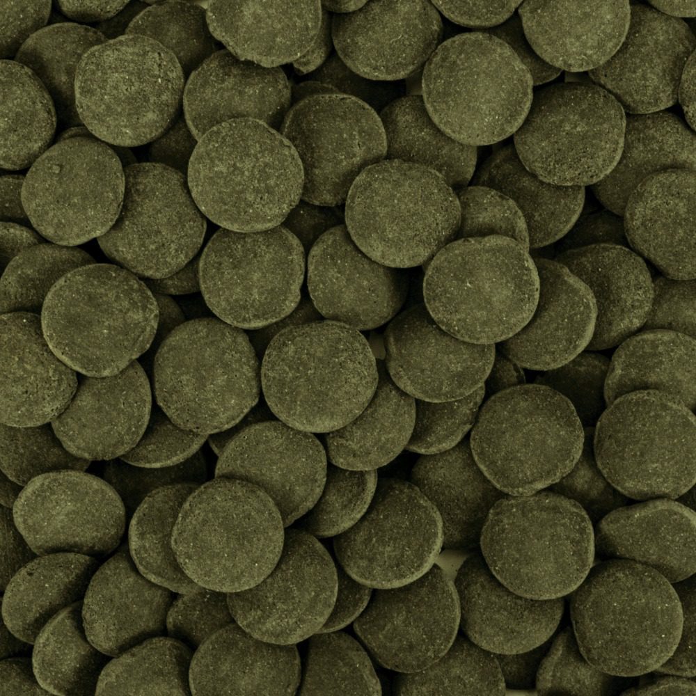 Tropical Hi-Algae Discs XXL