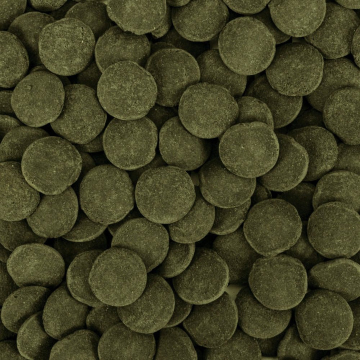 Tropical Hi-Algae Discs XXL