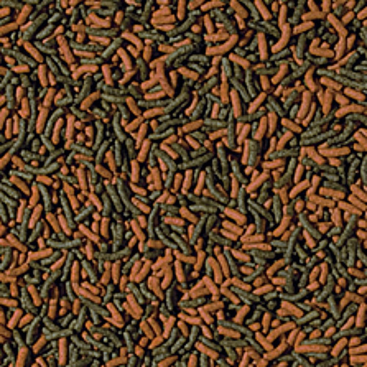 Tropical Cichlid Red &amp; Green Medium Sticks