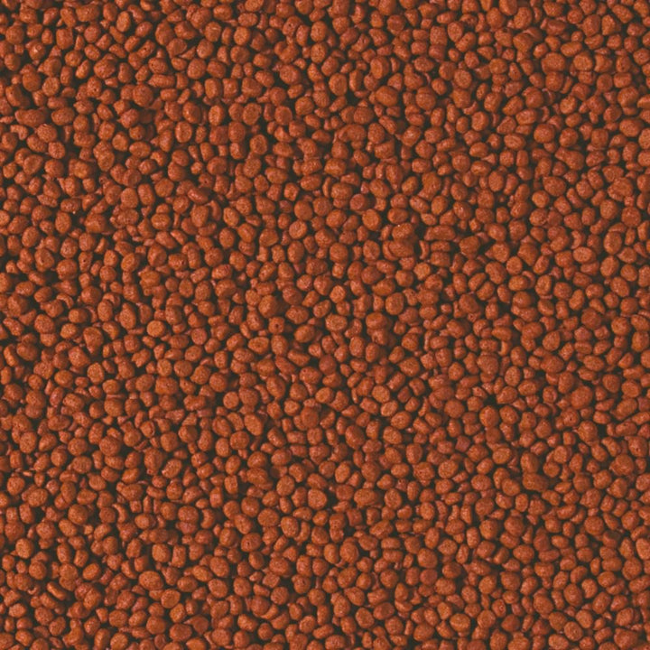 Tropical Cichlid Carnivore Small Pellet