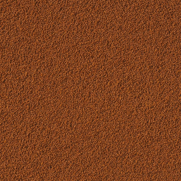 Tropical Insect Menu Colour Granules XXS 