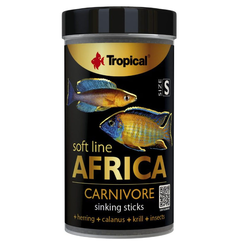 Tropical Africa Carnivore sinking sticks fish food container on a white background