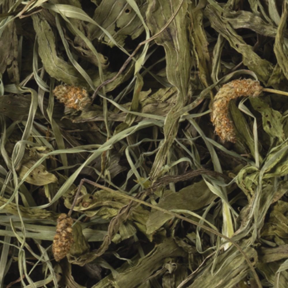 Tropifit Naturals Ribwort Plantain