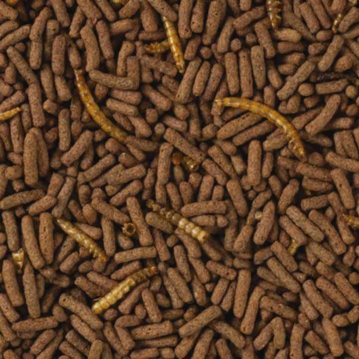Tropifit Premium Atelerix Dwarf Hedgehog