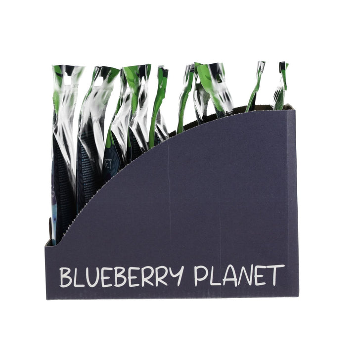 Blue River Blueberry Planet Gecko Diet