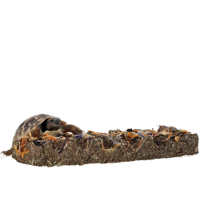 PR Tortoise Flower Foraging Bar 45g - with tortoise