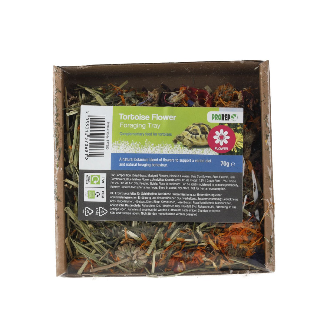 PR Tortoise Flower Foraging Tray 70g - front of box