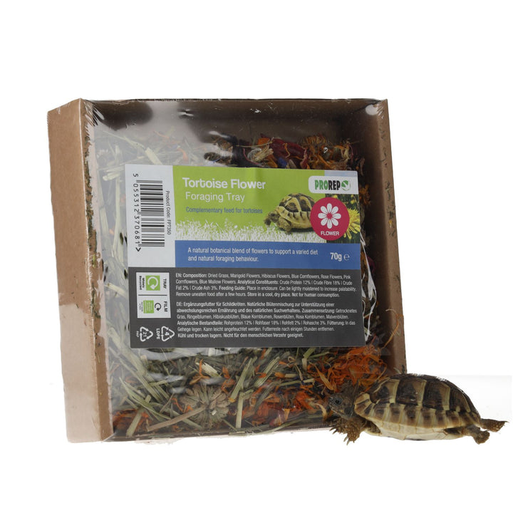 PR Tortoise Flower Foraging Tray 70g - With tortoise 