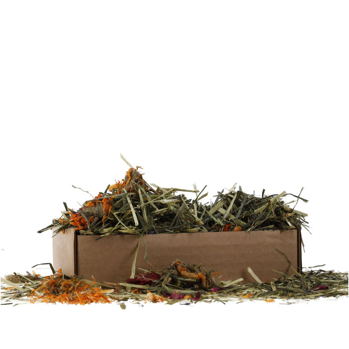PR Tortoise Flower Foraging Tray 70g - opened tray