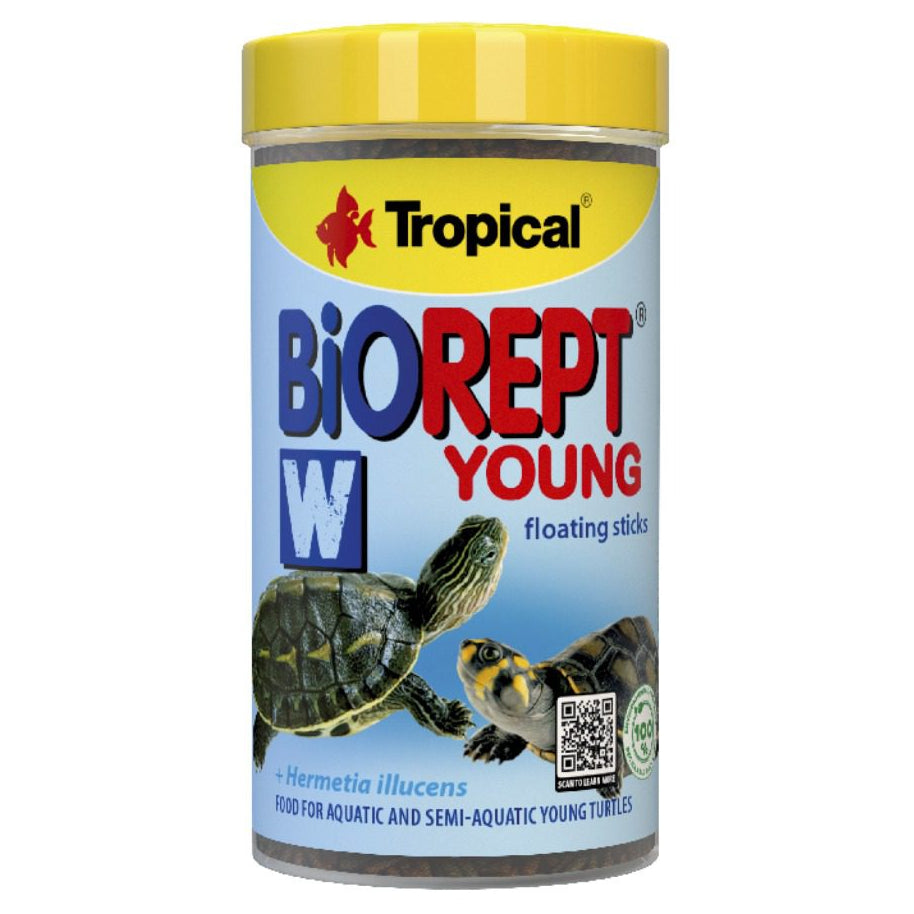 Tropical Biorept W Young turtle food container on a white background