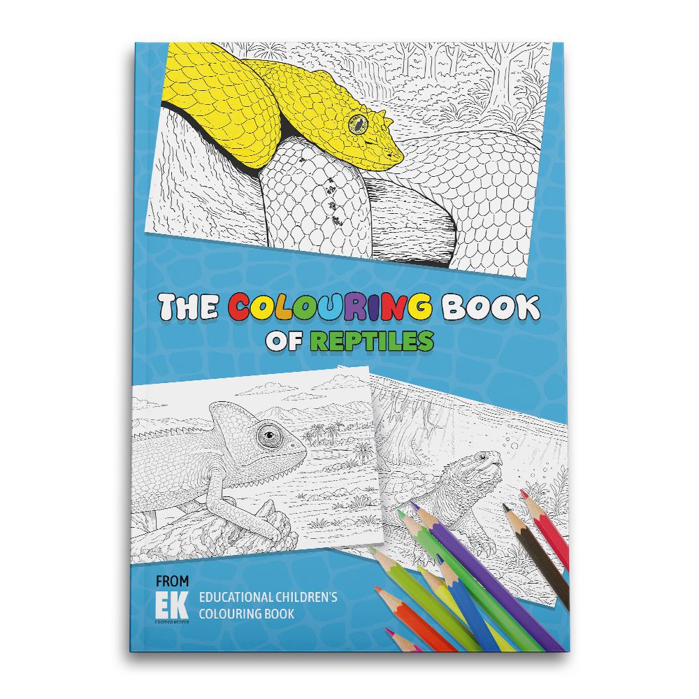 EK Colouring Book Reptile Front cover