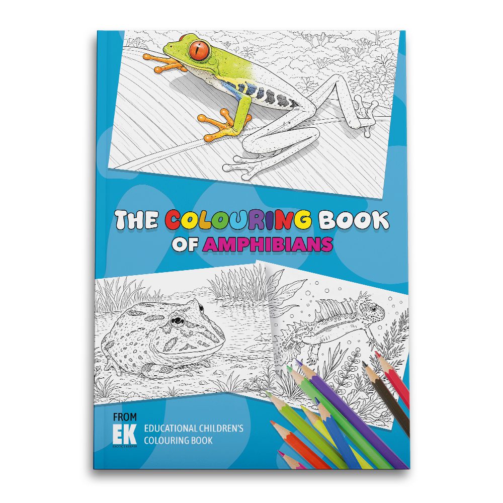 EK Colouring Book Amphibian Front cover
