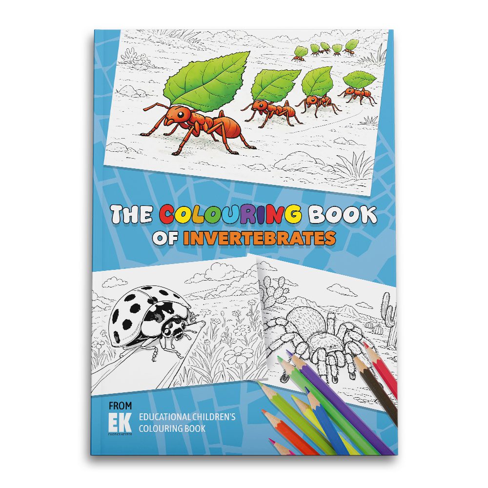 Exotics Keeper Colouring Book: Invertebrates front cover