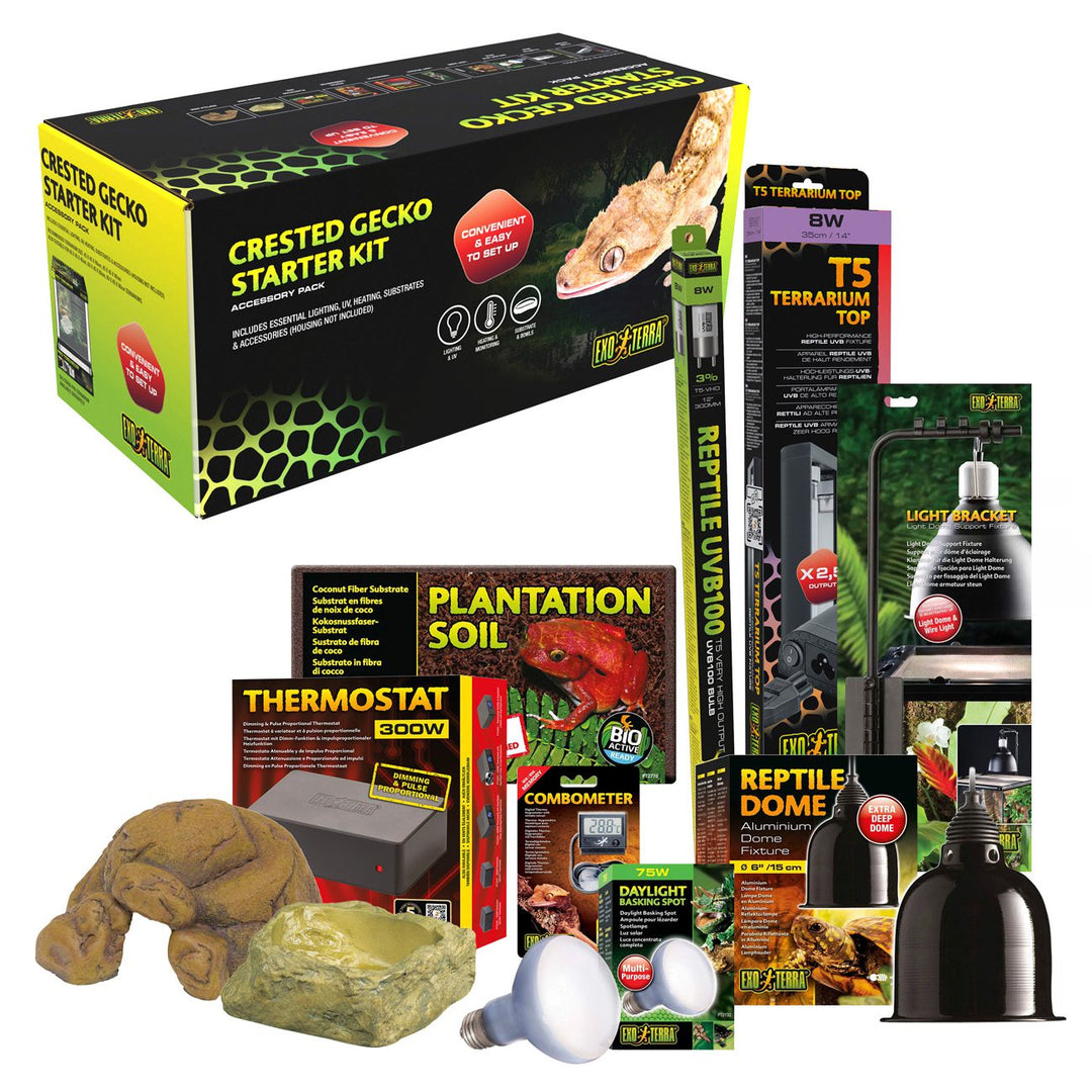 ET Crested Gecko Accessory Kit everything laid out. 