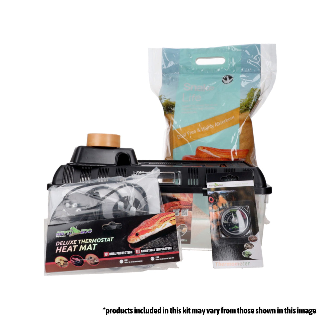 PR Hatchling Snake Starter Kit - what&