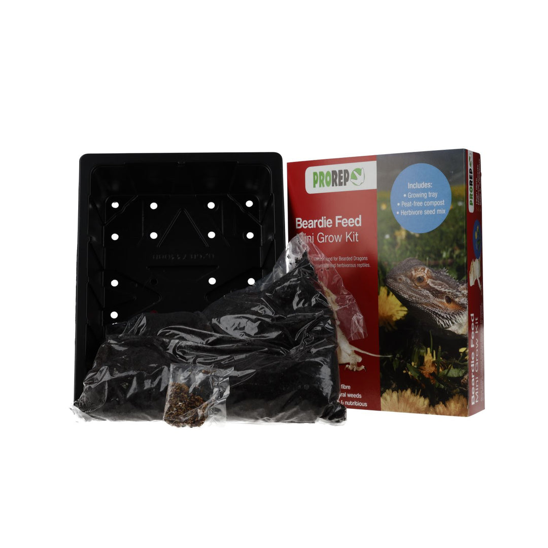 PR Beardie Feed Mini Kit - What&