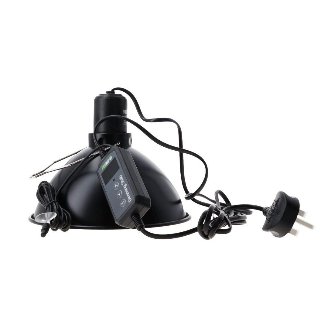 PR Lamp Dome with Dimming Stat 150W 215x215x165mm lamp