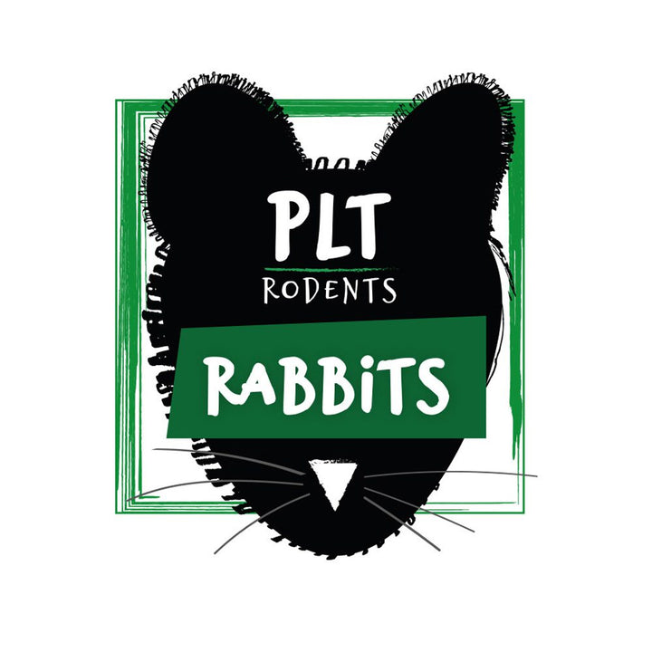PLT Rabbit logo