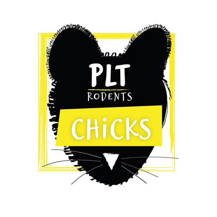 PLT Frozen Chicks Logo