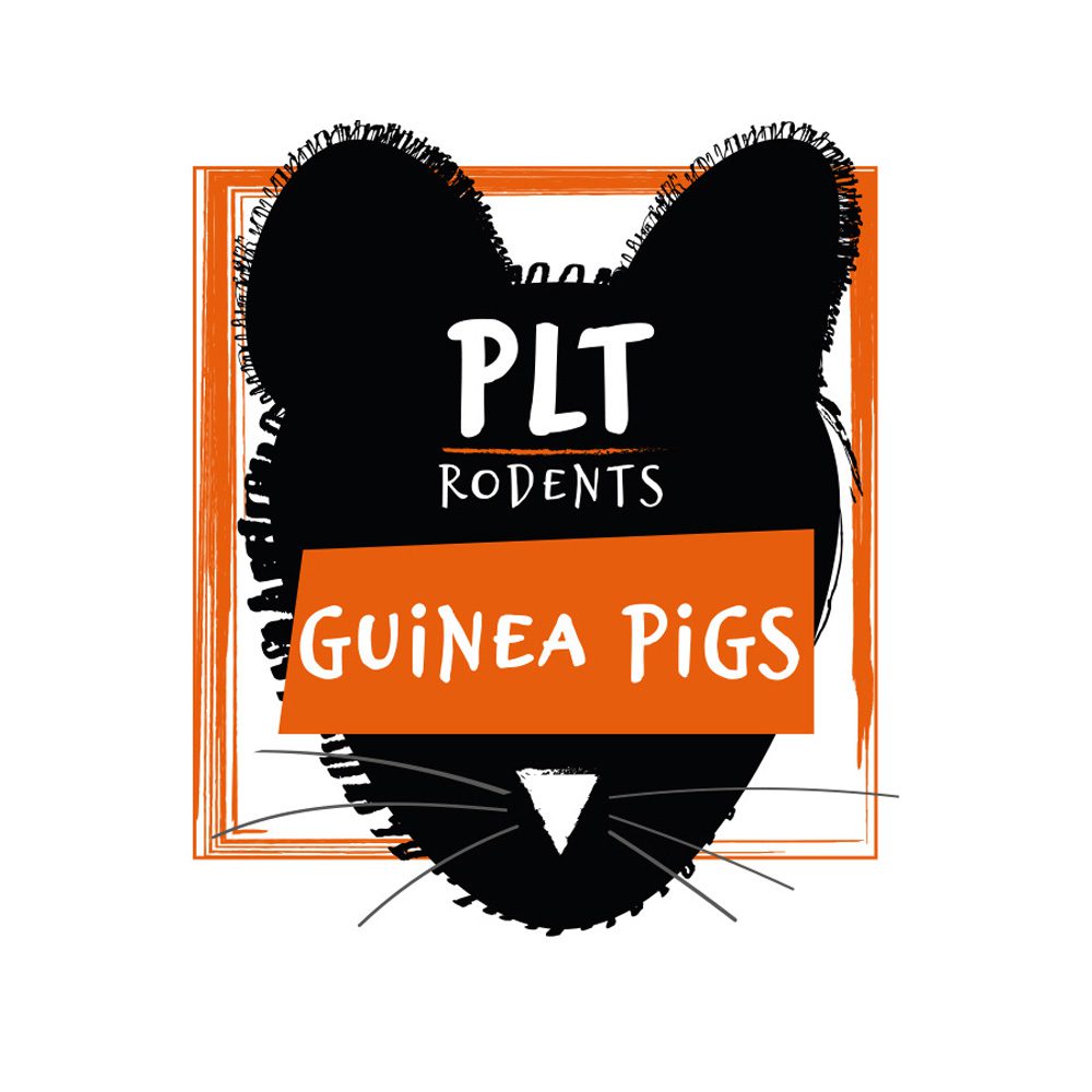 PLT guinea pig logo