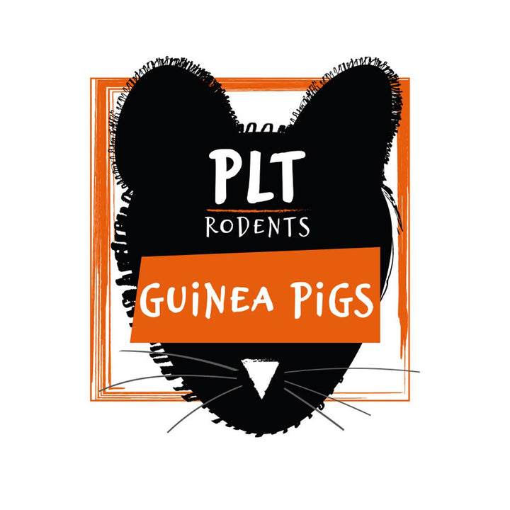 PLT guinea pig logo