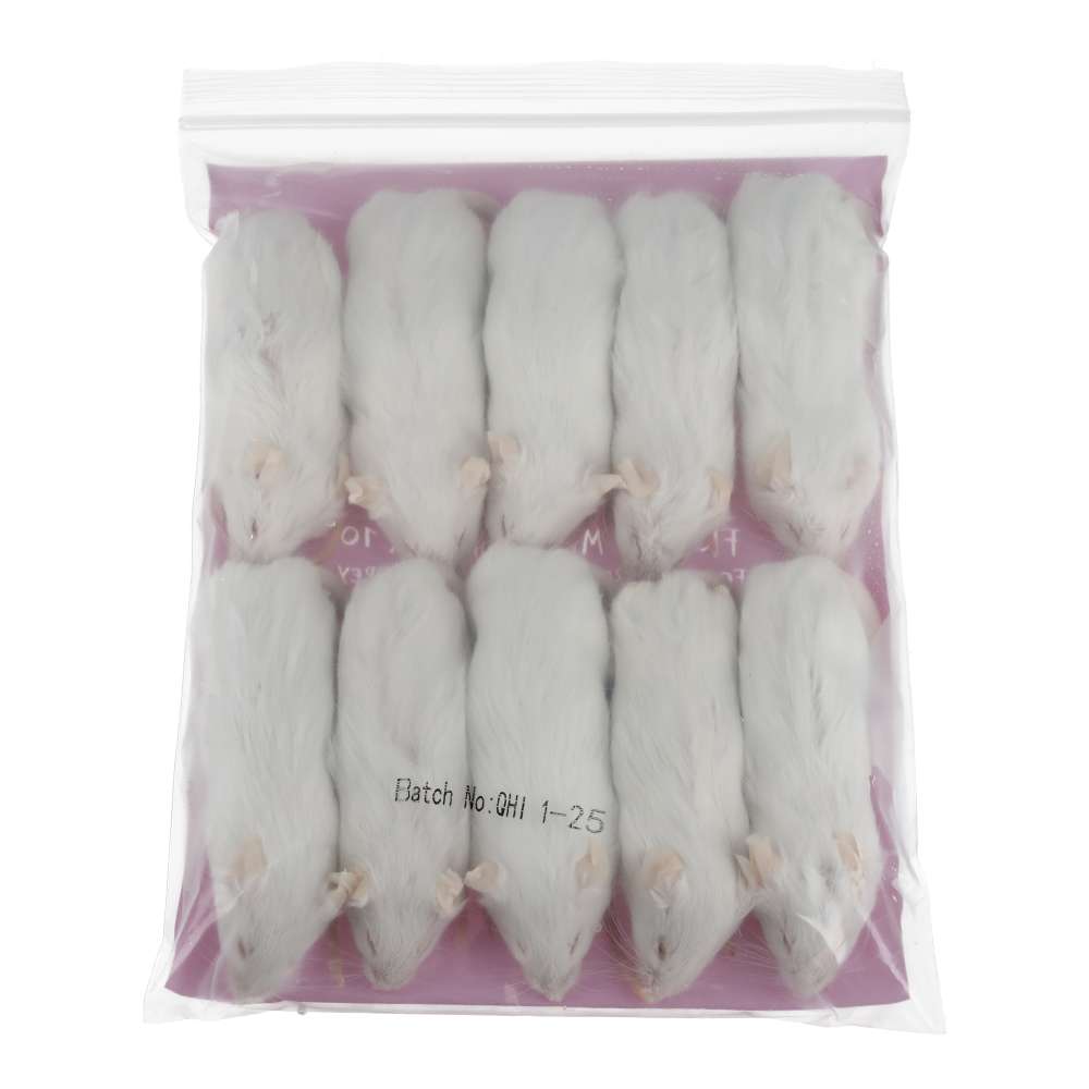 PLT Frozen Mice Large 26g+ 10 pack rear
