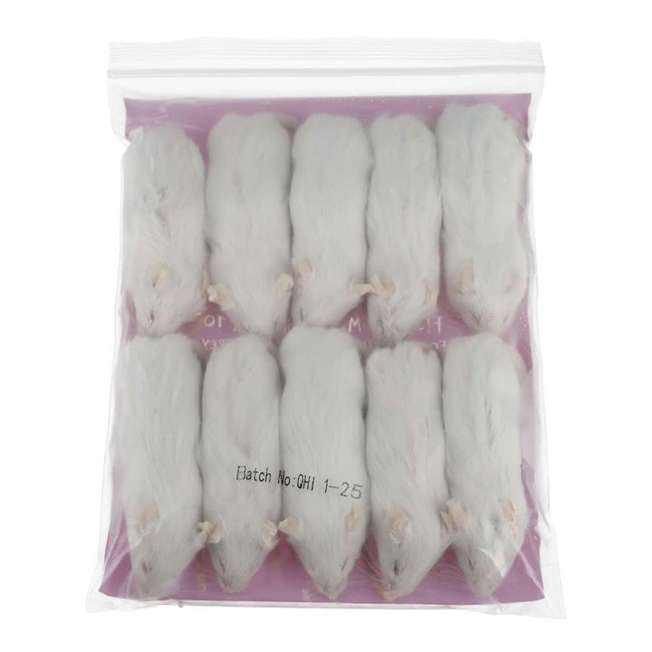 PLT Frozen Mice Large 26g+ 10 pack rear