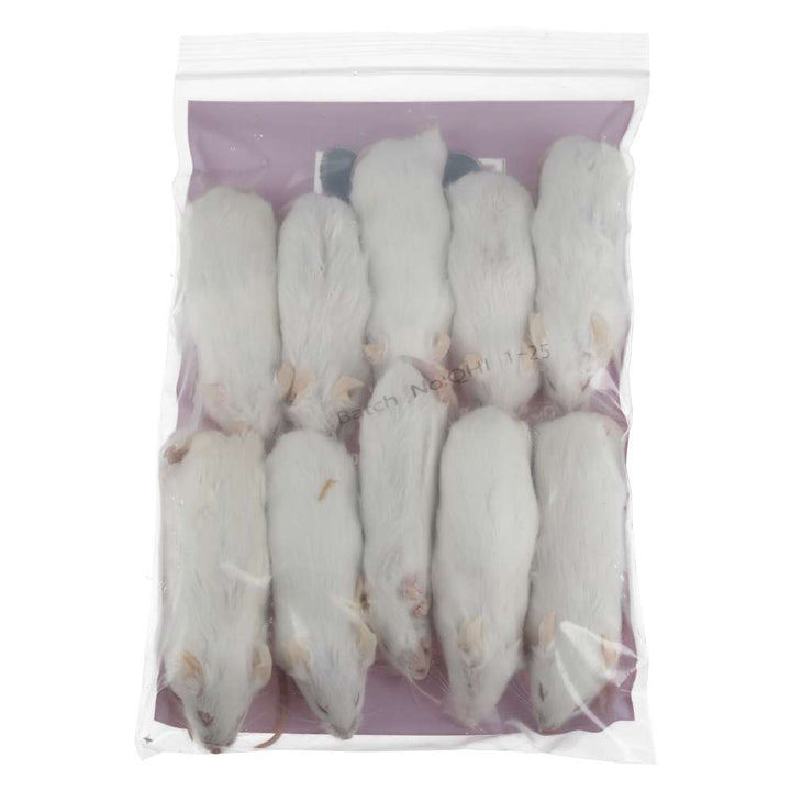 PLT Frozen Mice X-Large 30g+ 10 Pack Reverse