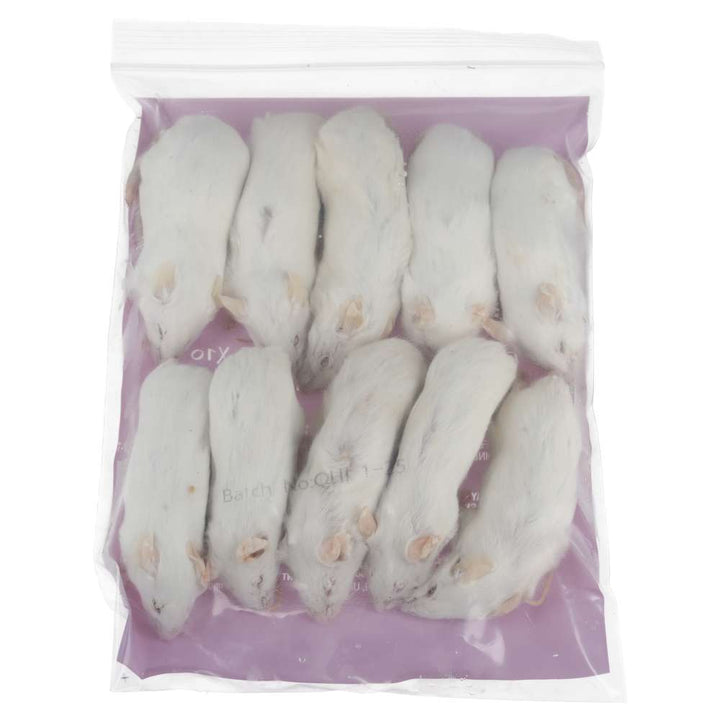 PLT Frozen Mice Ex-Breeders 35g+ 10 pack Reverse