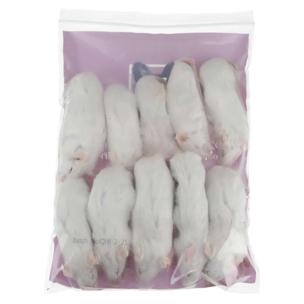 PLT Frozen Mice Ex-Breeders 40g+ 10 pack reverse