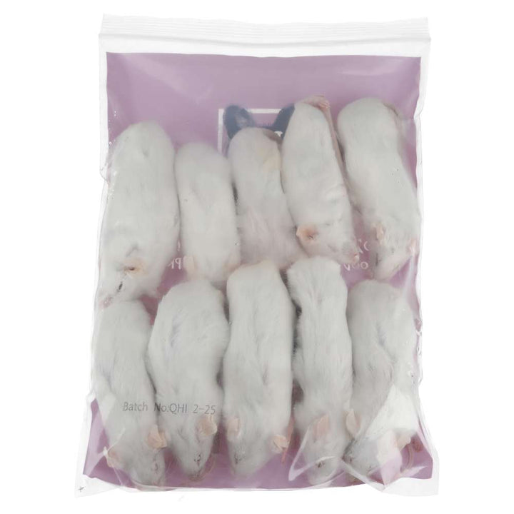 PLT Frozen Mice Ex-Breeders 40g+ 10 pack reverse