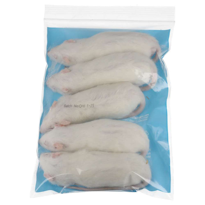 PLT Frozen Rats Small 100g+ 5 Pack Reverse