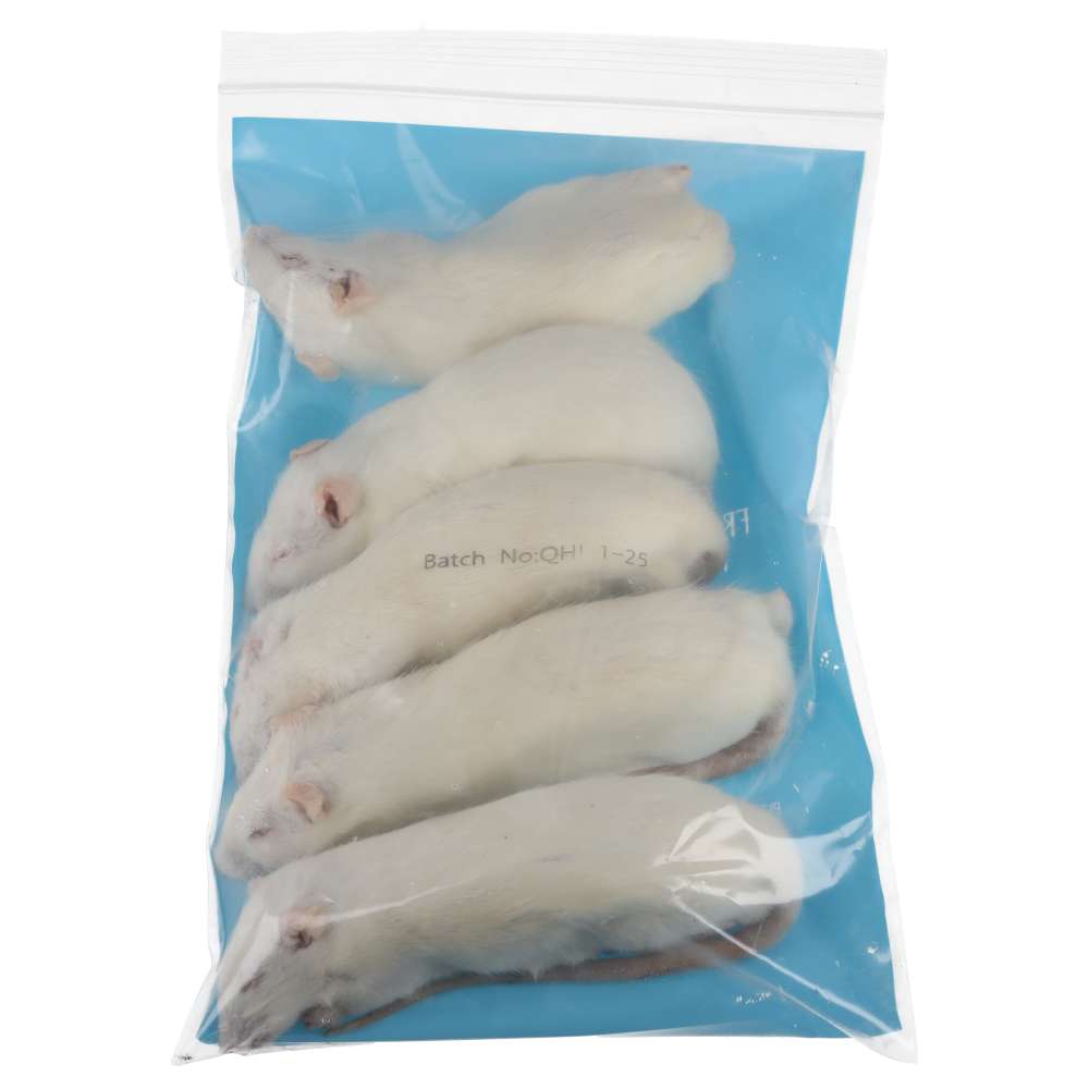 PLT Frozen Rats Small/Medium 130g+ 10 Pack Reverse