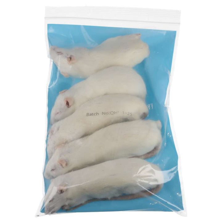 PLT Frozen Rats Small/Medium 130g+ 10 Pack Reverse