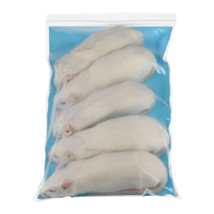 PLT Frozen Rats Medium 160g+ 5 pack reverse