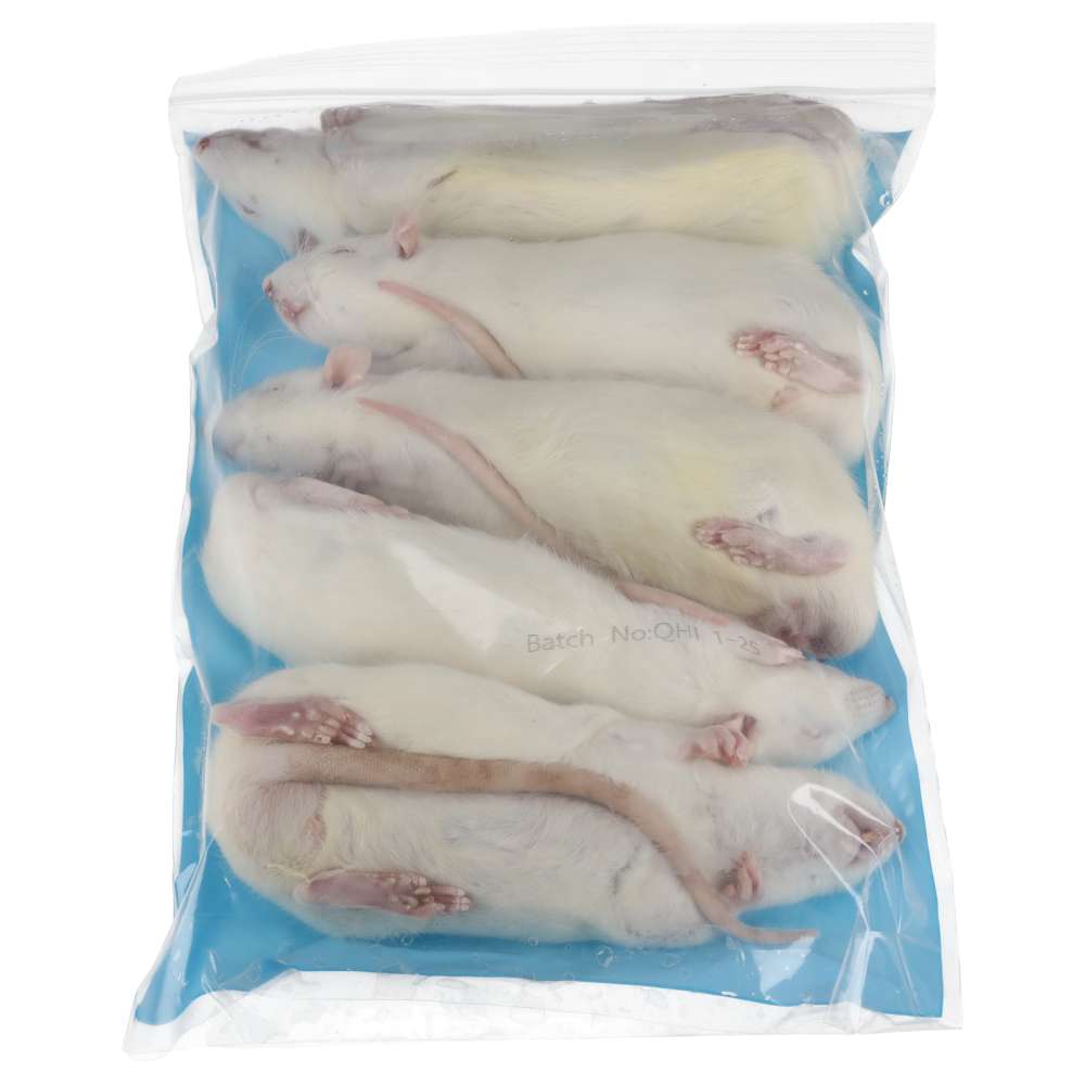PLT Frozen Rats Medium/Large 200g+ 5 Pack Reverse