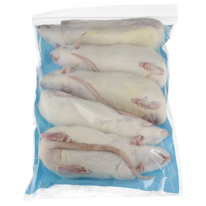 PLT Frozen Rats Medium/Large 200g+ 5 Pack Reverse