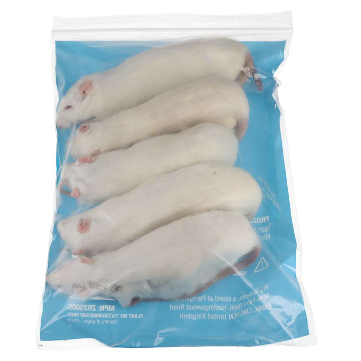 PLT Frozen Rats Large 250g+ 5 Pack Reverse