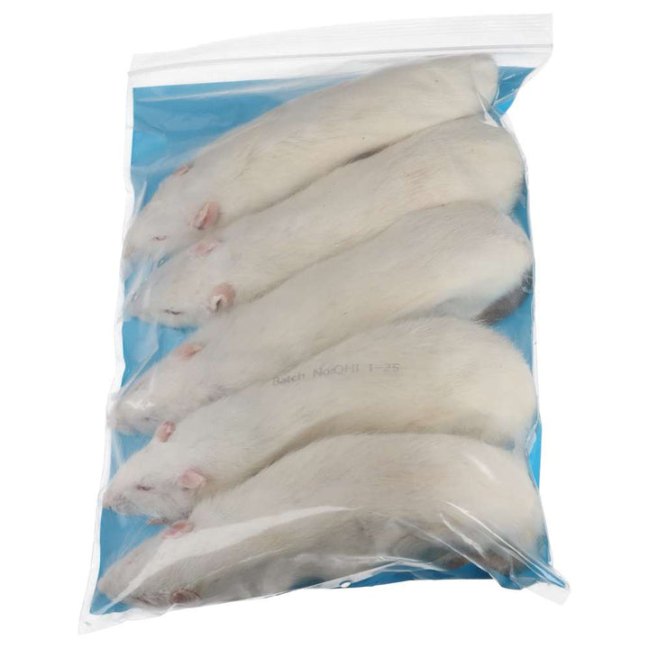 PLT Frozen Rats Jumbo 350g+ 5 pack reverse