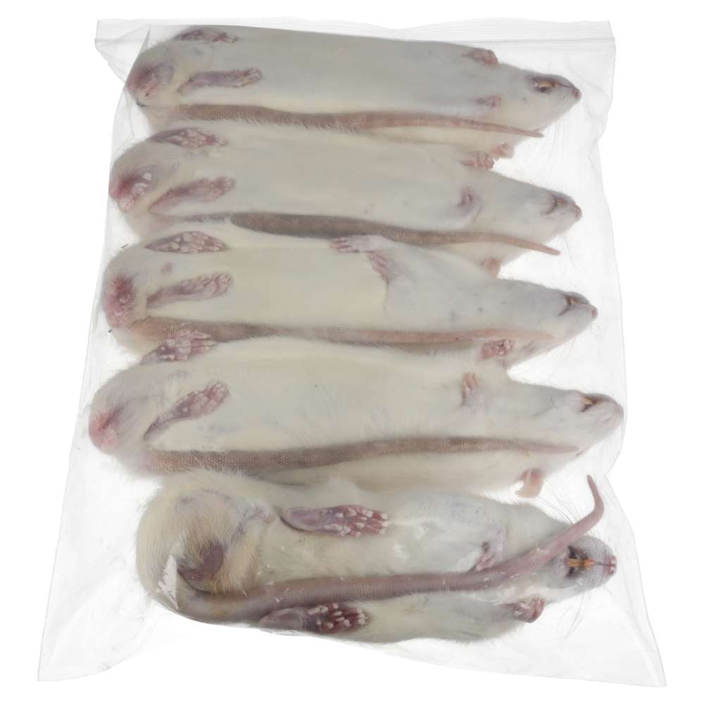 PLT Frozen Rats Ex-Breeder 450g+ 5 pack