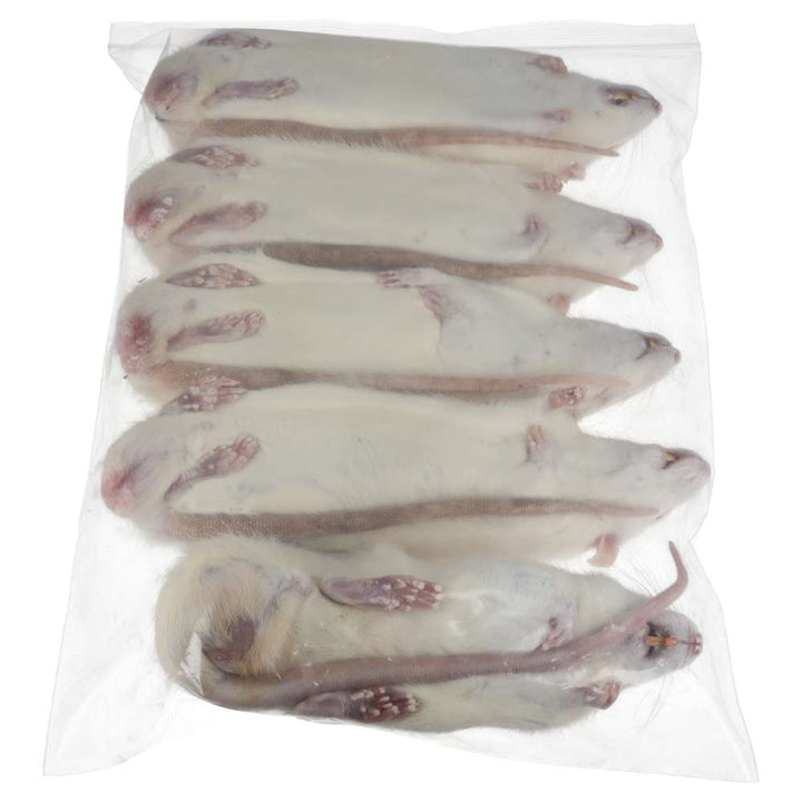 PLT Frozen Rats Ex-Breeder 450g+ 5 pack