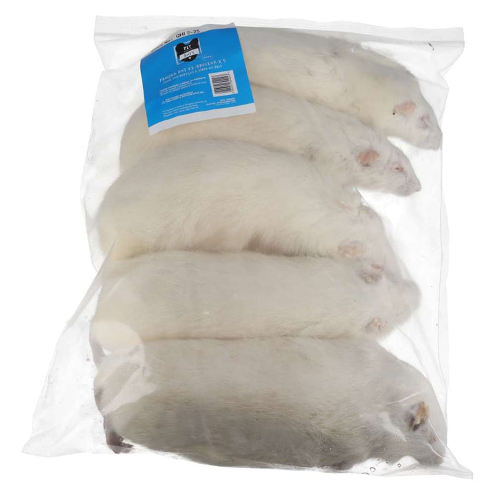 PLT Frozen Rats Ex-Breeder 500g+ 5 Pack